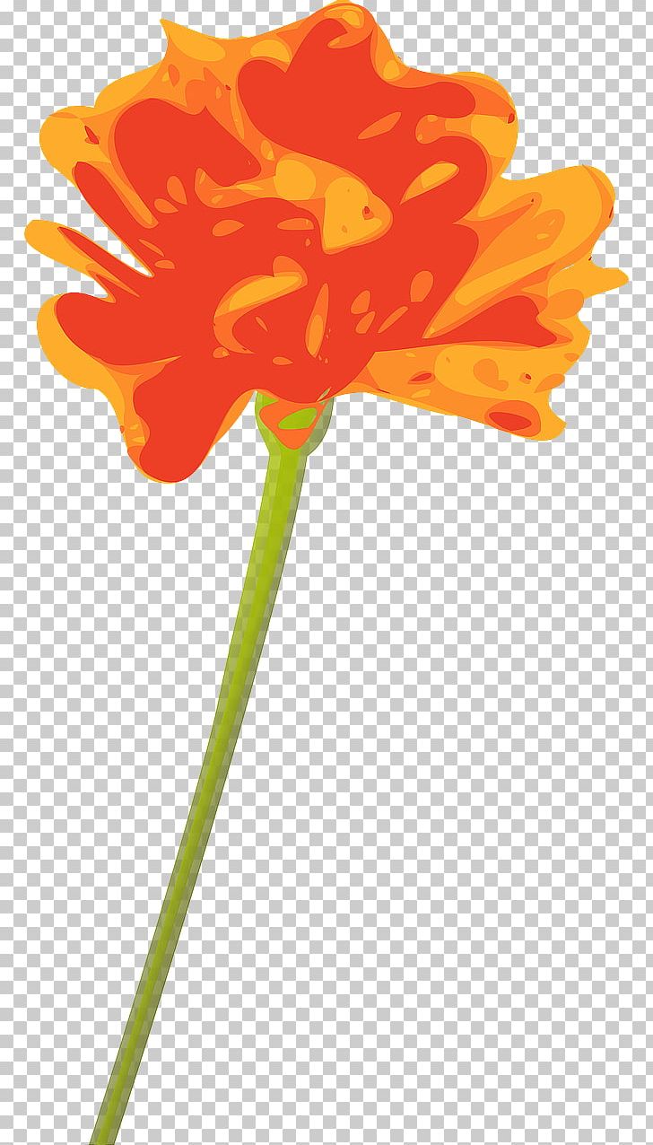 Flower Orange PNG, Clipart, Color, Cut Flowers, Download, Flora, Flower Free PNG Download