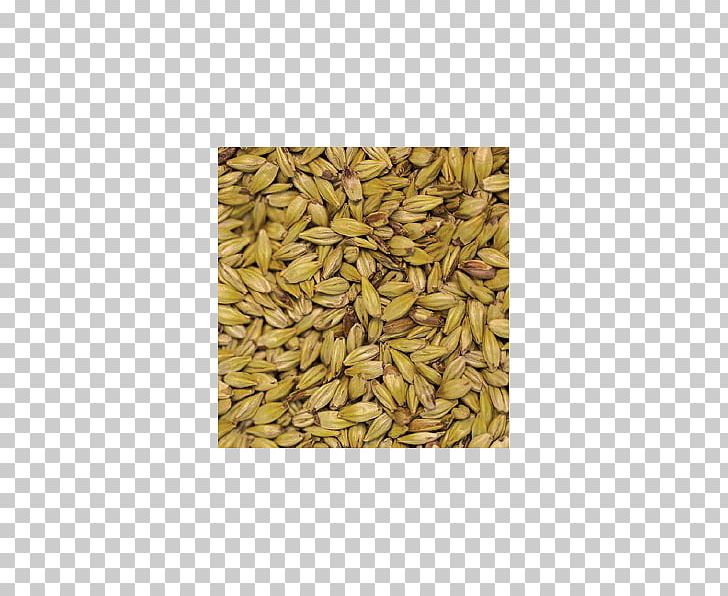 Oat Cereal Beer Malt Spelt PNG, Clipart, Avena, Beer, Beer Brewing Grains Malts, Cereal, Cereal Germ Free PNG Download