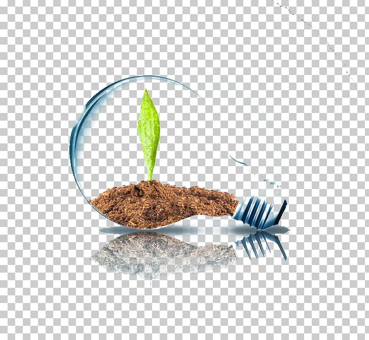 Project Management Natural Environment Business Process PNG, Clipart, Bulb, Business, Christmas Lights, Company, Cutlery Free PNG Download