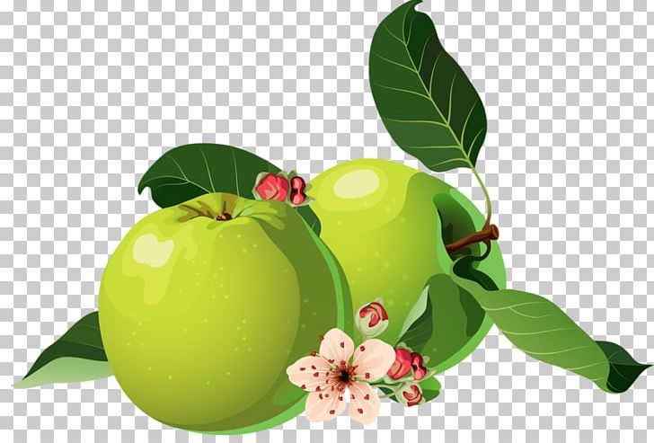 Apple PNG, Clipart, Apple, Apple Fruit, Apple Logo, Apples, Background Green Free PNG Download