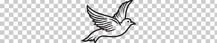 Columbidae Release Dove Funeral PNG, Clipart, Art, Beak, Bird, Black And White, Branch Free PNG Download