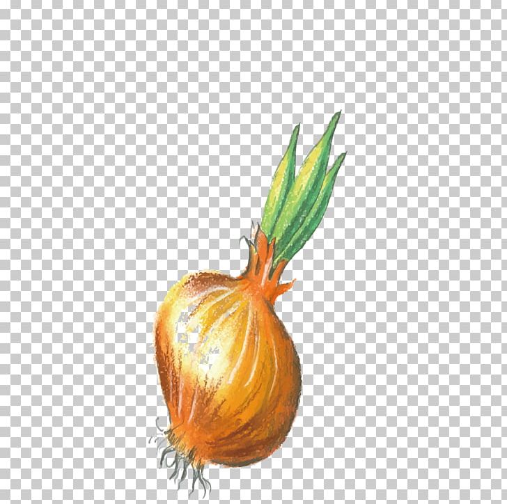 Pumpkin Crayon Calabaza PNG, Clipart, Color, Crayon, Crayon Brush Strokes, Download, Food Free PNG Download