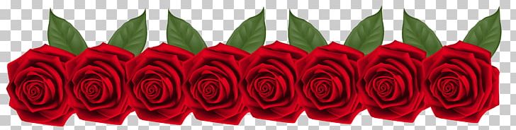 Garden Roses Red Petal PNG, Clipart, Beach Rose, Blue Rose, Clip Art, Clipart, Cut Flowers Free PNG Download