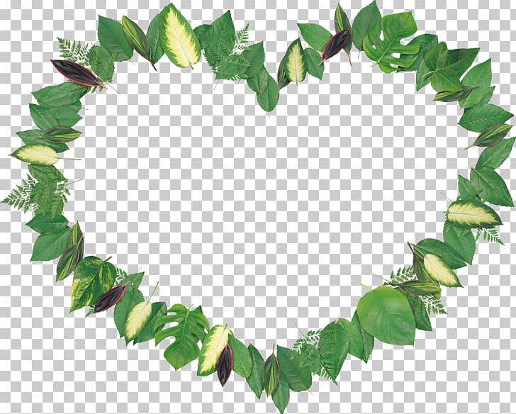 Leaf Frames PNG, Clipart, Auglis, Branch, Clip Art, Collage, Depositfiles Free PNG Download