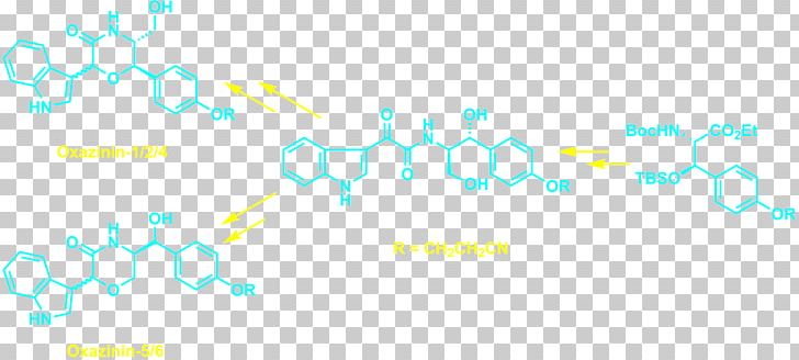 Logo Borreverine Brand Fourier-transform Infrared Spectroscopy PNG, Clipart, Angle, Area, Blue, Brand, Circle Free PNG Download