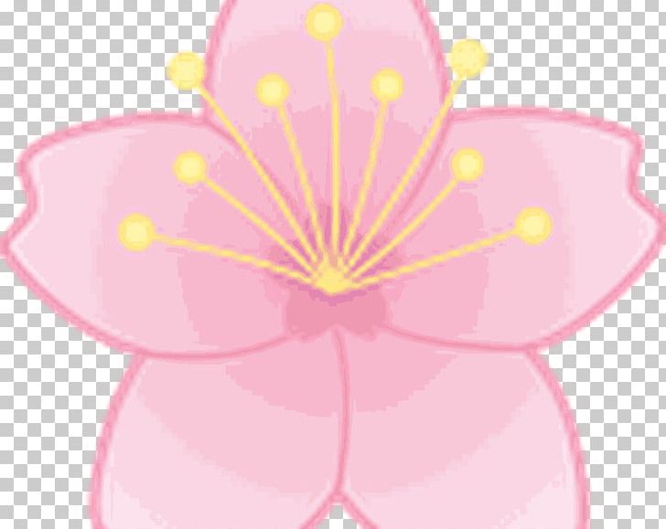Pink M Flowering Plant PNG, Clipart, Art, Blossom, Cherry, Cherry Blossom, Flora Free PNG Download