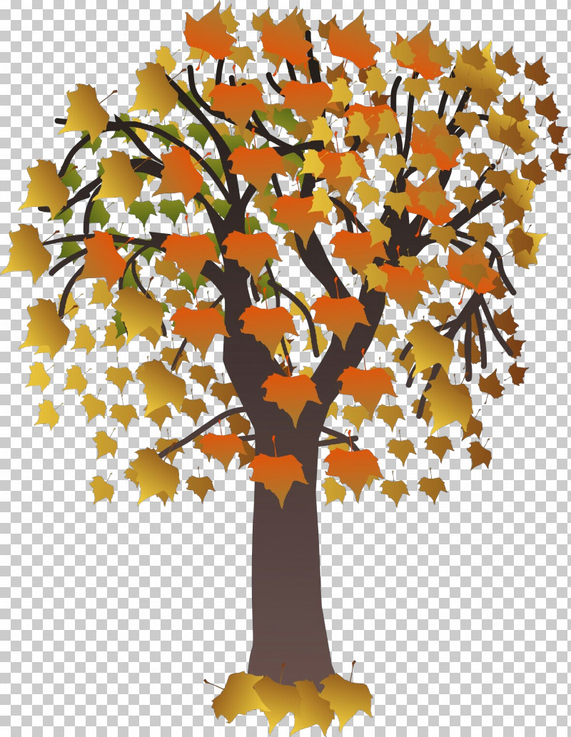 Plane PNG, Clipart, Autumn, Branch, Deciduous, Flower, Leaf Free PNG Download