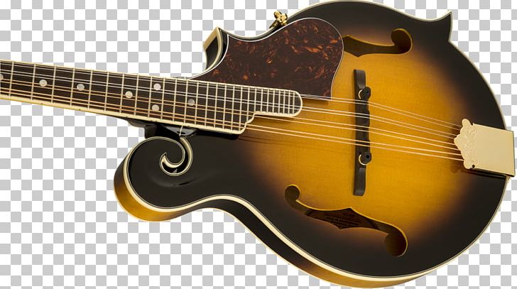 Acoustic Guitar Mandolin Cuatro Bass Guitar Acoustic-electric Guitar PNG, Clipart, Acoustic Electric Guitar, Concert, Country Music, Cuatro, Guitar Accessory Free PNG Download