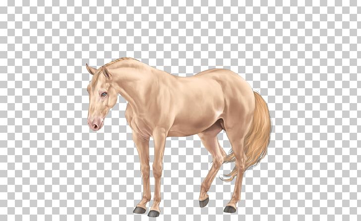 American Quarter Horse Mane Mustang Thoroughbred Stallion PNG, Clipart, American Quarter Horse, Animal Figure, Bridle, Colt, Cream Locus Free PNG Download