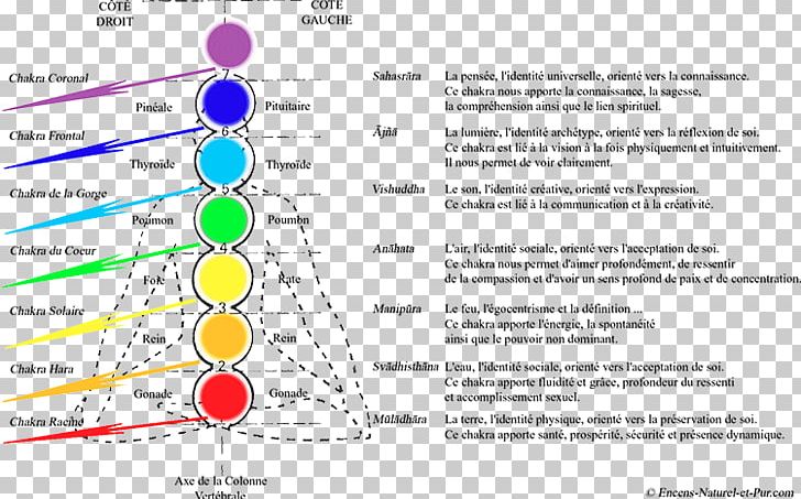 Les Chakras Kundalini Vishuddha Chakra Clearing PNG, Clipart,  Free PNG Download