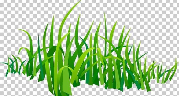Drawing PNG, Clipart, 7 A, Animation, Aquarium Decor, Cartoon, Commodity Free PNG Download