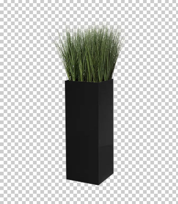 Grasses Flowerpot PNG, Clipart, Art, Family, Flowerpot, Grass, Grasses Free PNG Download