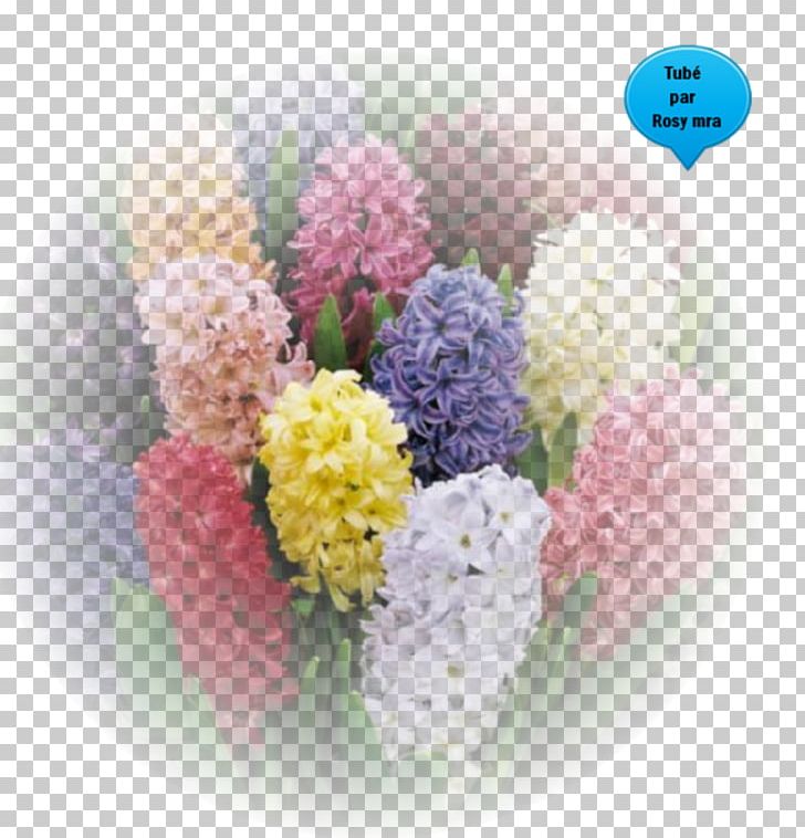 Spring Bulbs Hyacinth Flower Allium Giganteum PNG, Clipart, Allium, Allium Giganteum, Artificial Flower, Bulb, Cut Flowers Free PNG Download