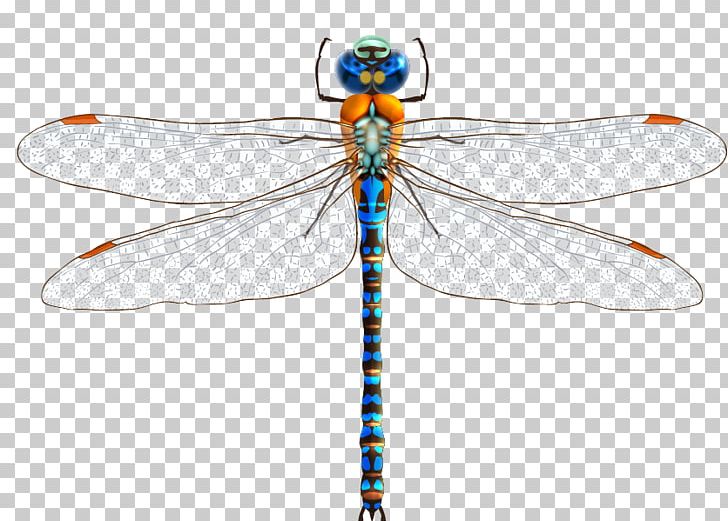Dragonfly Drawing PNG, Clipart, Encapsulated Postscript, Happy Birthday Vector Images, Insects, Material, Materials Free PNG Download