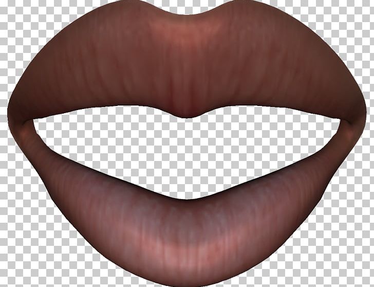 PhotoScape Lip GIMP Anatomy PNG, Clipart, Anatomia, Anatomy, Blog, Gimp, Homo Sapiens Free PNG Download