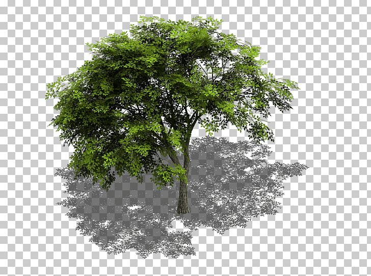 Tree Sprite Isometric Graphics In Video Games And Pixel Art Isometric Projection GameMaker: Studio PNG, Clipart, 2d Computer Graphics, Aspen, Branch, Computer Graphics, Game Free PNG Download