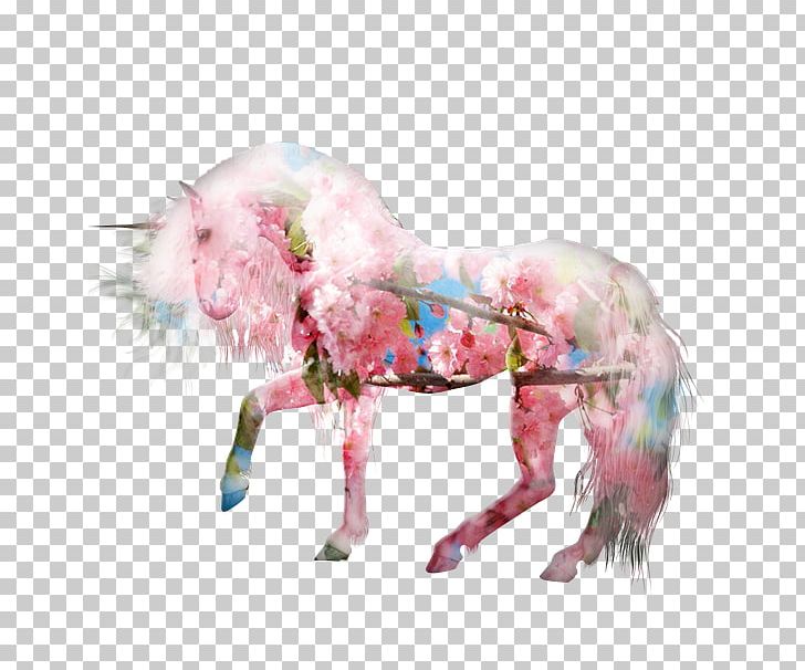 Unicorn Pink M RTV Pink Snout Yonni Meyer PNG, Clipart, Fantasy, Fictional Character, Hijab Couple, Horse, Horse Like Mammal Free PNG Download