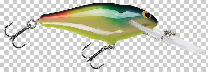 Wood Limited Liability Company Beak Fishing Baits & Lures PNG, Clipart, Bait, Beak, Bird, Color, Company Free PNG Download