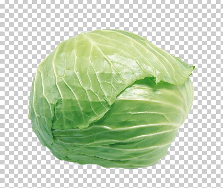 Cabbage Cauliflower Vegetable Food Stir Frying PNG, Clipart, Brassica Oleracea, Cabbage, Cauliflower, Chinese, Chinese Cabbage Free PNG Download