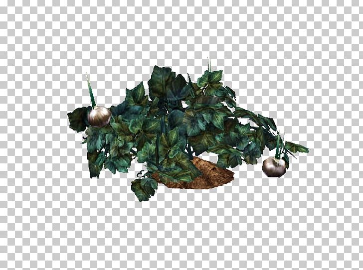 The Sims 3: World Adventures The Sims 4 Plant The Sims Resource Vine PNG, Clipart, Food Drinks, Fruit, Gardening, Garlic, Grapevine Free PNG Download