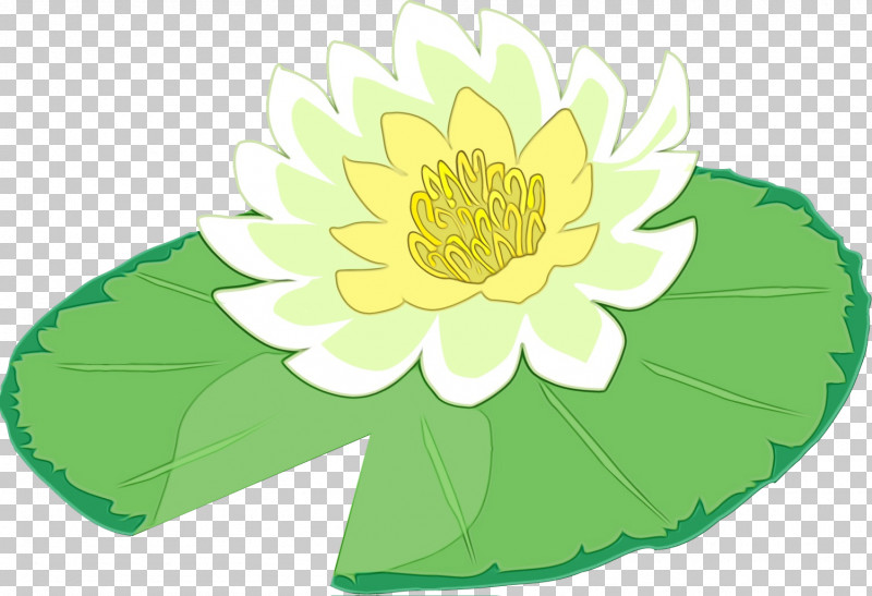 Lotus PNG, Clipart, Annual Plant, Aquatic Plant, Flower, Green, Leaf Free PNG Download