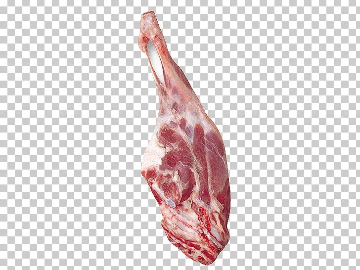 Lamb And Mutton Beyti Kebab Çiğ Köfte Meat Chop Red Meat PNG, Clipart, Animal Fat, Animal Source Foods, Back Bacon, Bayonne Ham, Beyti Kebab Free PNG Download
