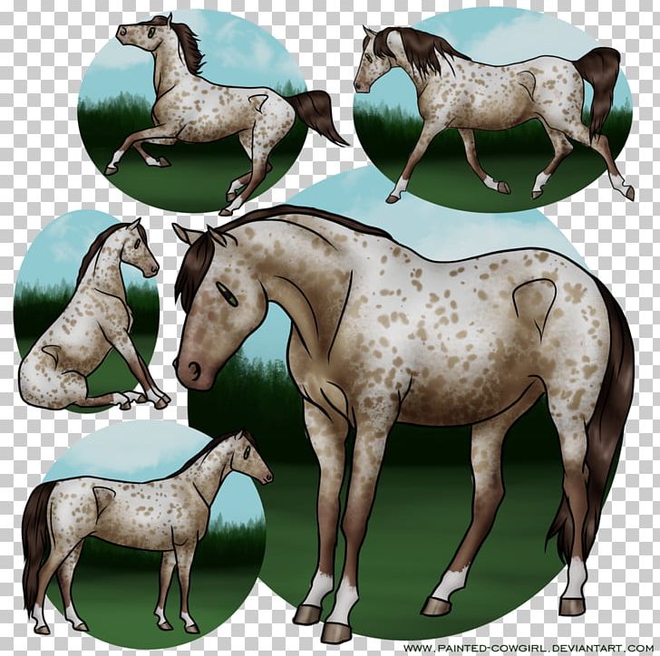 Mare Mustang Stallion Colt Halter PNG, Clipart, Animal, Colt, Fauna, Halter, Harness Racing Free PNG Download