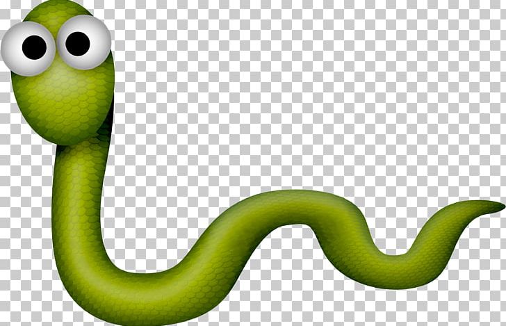 Snake Vipers Reptile PNG, Clipart, Animals, Background Green, Beautiful, Beautiful Snake, Beauty Free PNG Download