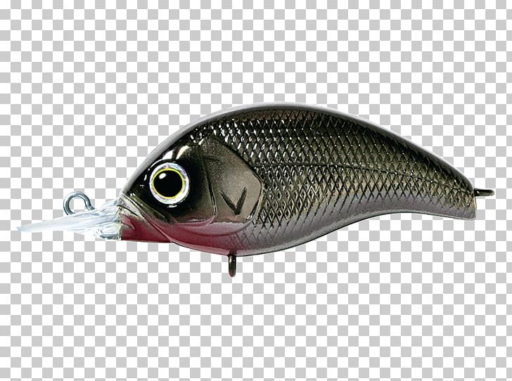 Spoon Lure Oily Fish Perch AC Power Plugs And Sockets PNG, Clipart, Ac Power Plugs And Sockets, Bait, Dep, Fish, Fishing Bait Free PNG Download