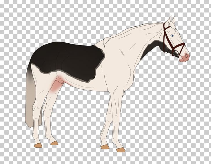 Mule Foal Stallion Mare Colt PNG, Clipart, Bridle, Cartoon, Colt, Foal, Halter Free PNG Download