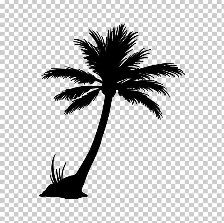 Arecaceae Silhouette Coconut PNG, Clipart, Animals, Arecaceae, Arecales, Black And White, Borassus Flabellifer Free PNG Download