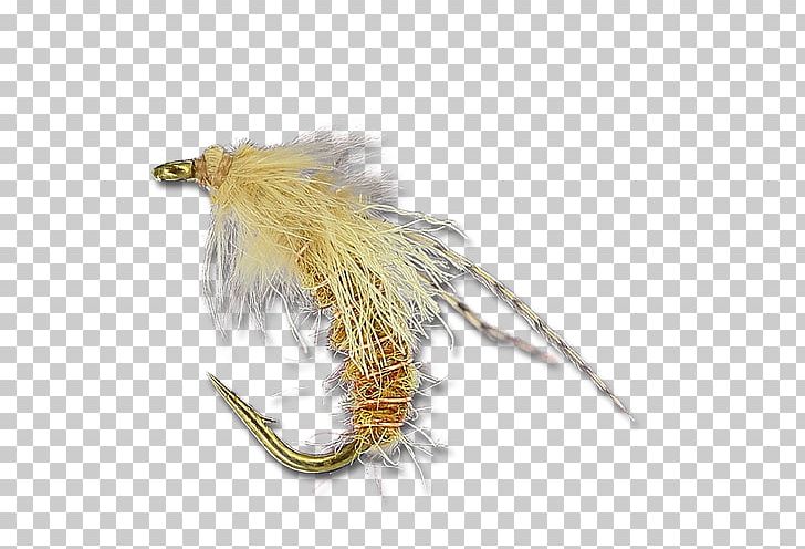 Caddisfly The Fly Shop Feather Twisto PNG, Clipart, Caddisfly, Feather, Fly Shop, Jewellery, Miscellaneous Free PNG Download