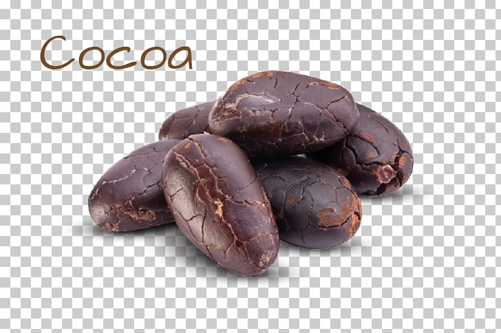 Cocoa Bean Chocolate Cacao Tree Ingredient Jamaican Blue Mountain Coffee PNG, Clipart, Antioxidant, Chocolate, Chocolate Coated Peanut, Cocoa Bean, Commodity Free PNG Download
