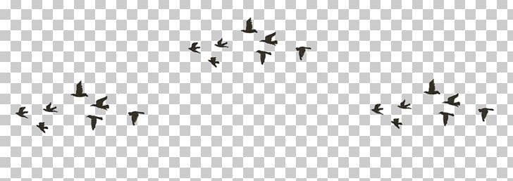 Desktop Bird PNG, Clipart, Angle, Animal Migration, Animals, Bird, Bird Migration Free PNG Download