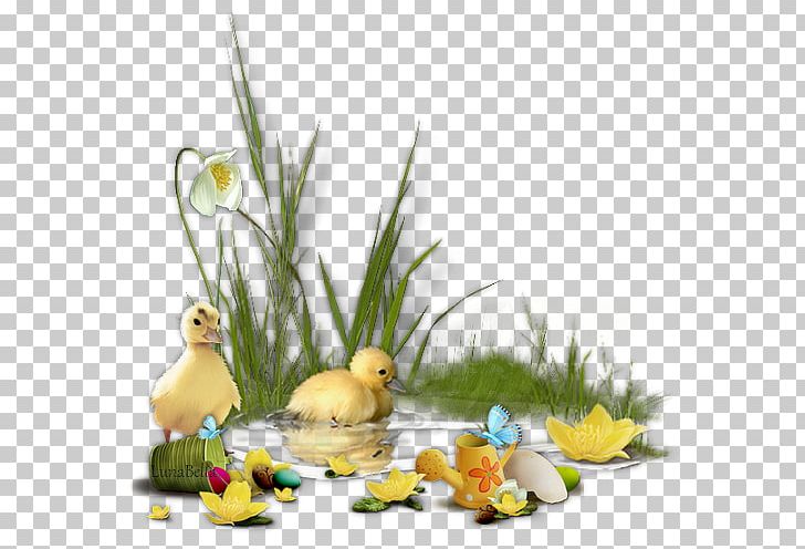 Easter Bunny Easter Egg PNG, Clipart, Animation, Beak, Bird, Christmas, Duck Free PNG Download