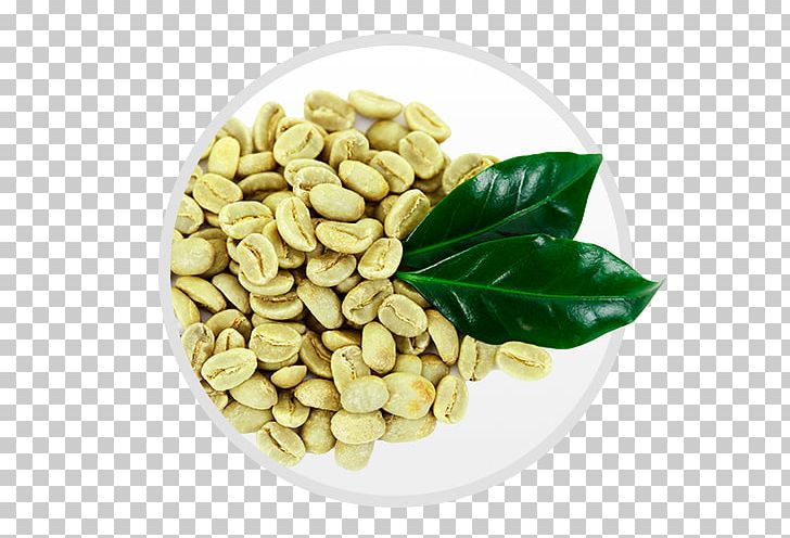 Green Coffee Extract Coffee Bean Robusta Coffee PNG, Clipart, Bean, Coffee, Coffee Bean, Commodity, Dietary Supplement Free PNG Download