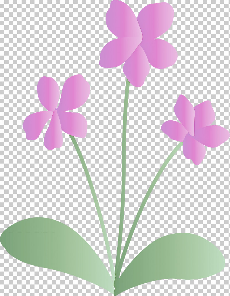 Violet Flower PNG, Clipart, Biology, Flower, Herbaceous Plant, Leaf, Orchids Free PNG Download
