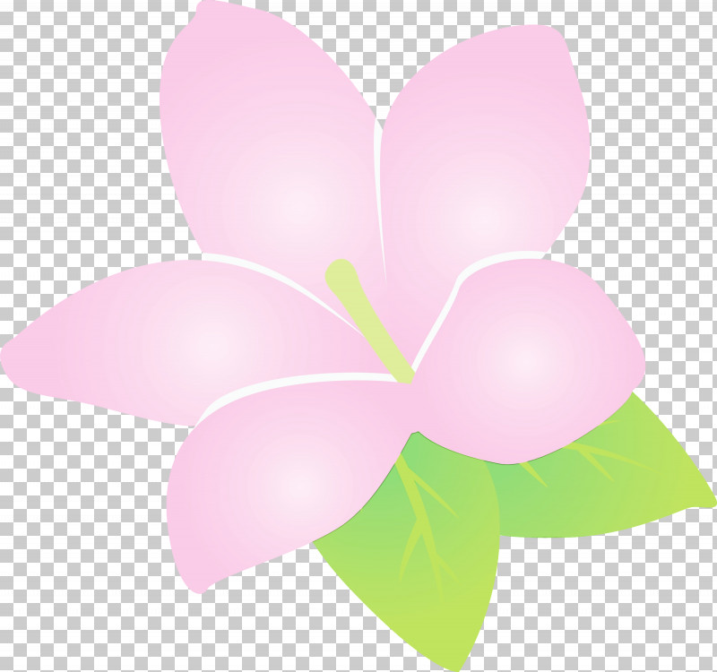 Flower Petal Pollinator Heart Plants PNG, Clipart, Biology, Flower, Heart, Jasmine, Jasmine Flower Free PNG Download