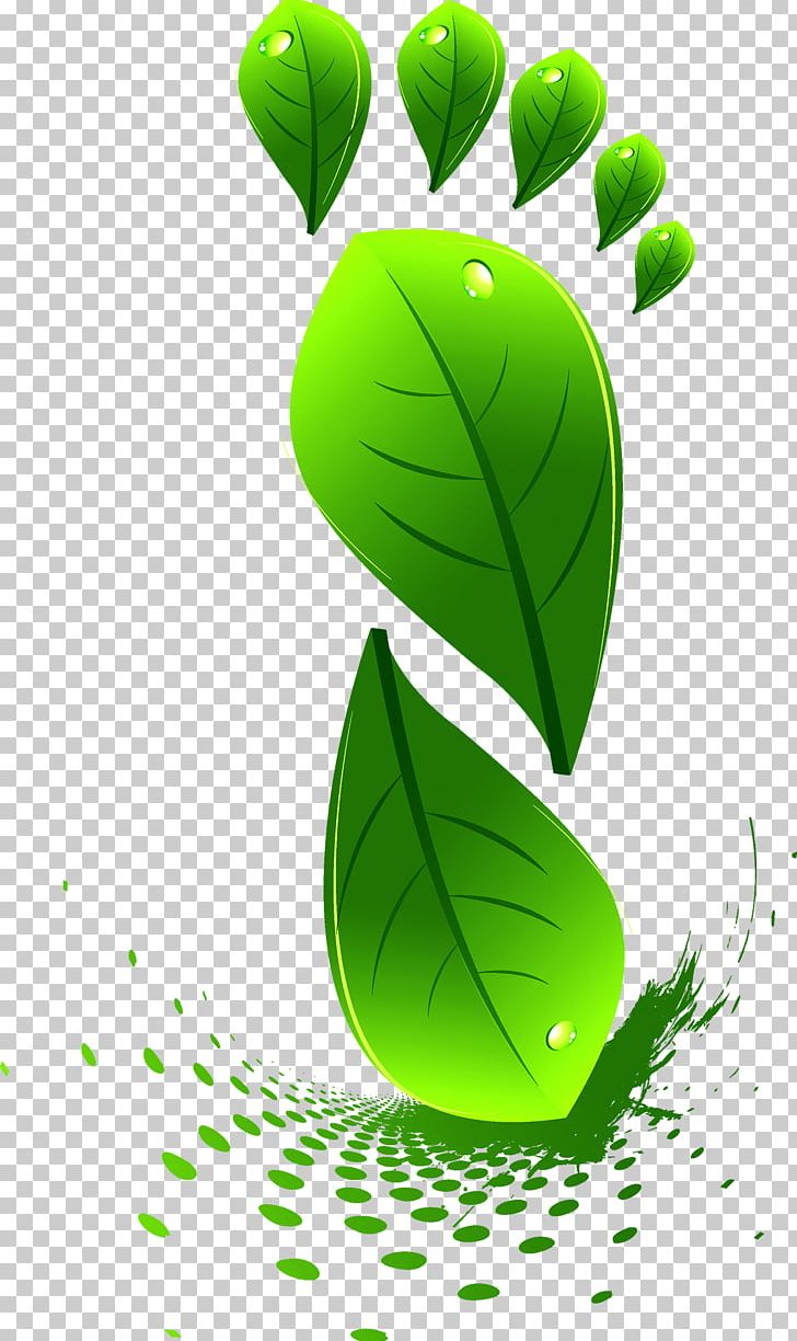 Leaf Green Euclidean PNG, Clipart, Computer Wallpaper, Drawing, Encapsulated Postscript, Fall Leaves, Footprint Free PNG Download