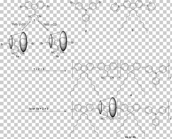 /m/02csf Line Art Drawing Organism PNG, Clipart, Angle, Area, Artwork, Black, Black And White Free PNG Download