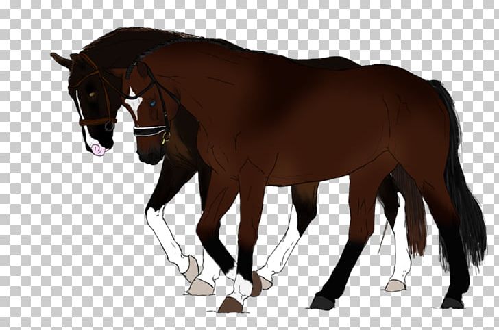 Mustang Foal Stallion Mare Pony PNG, Clipart, Bridle, Colt, Foal, Halter, Horse Free PNG Download