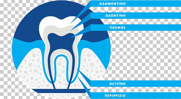 SARRIS ELEFTHERIOS PNG, Clipart, Anatomy, Communication, Dentist, Diagram, Graphic Design Free PNG Download