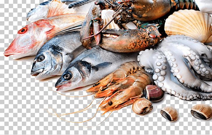 Seafood Fish Market Top Choice Fish Lobster PNG, Clipart, Choice, Fish Market, Lobster, Seafood, Top Free PNG Download