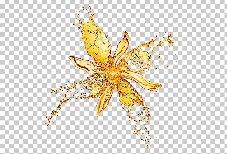 Water Flower Stock Photography Drop Splash PNG, Clipart, Blood Drop, Blossom, Drop Down, Dropping, Drops Free PNG Download