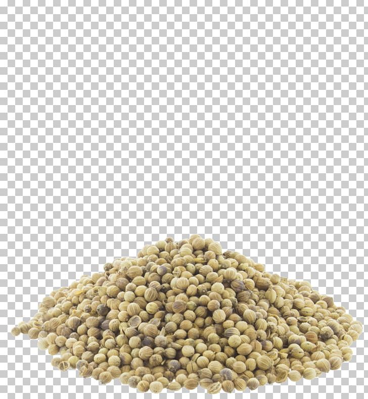 Coriander Seed Indian Cuisine Spice Food PNG, Clipart, Bean, Commodity, Coriander, Coriander Seed, Cumin Free PNG Download