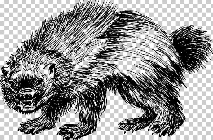 Printed T-shirt Wolverine Top PNG, Clipart, Beaver, Black And White, Carnivoran, Comic, Domesticated Hedgehog Free PNG Download