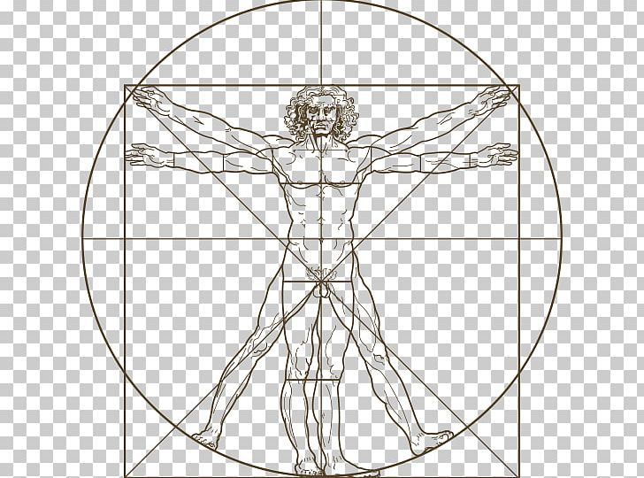 Vitruvian Man Drawing PNG, Clipart, Angle, Area, Art, Artwork, Black And White Free PNG Download