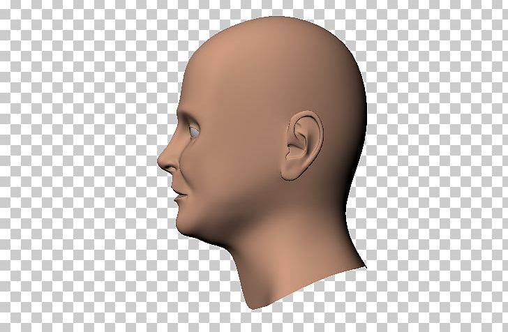 Chin Human Head Cheek Nose PNG, Clipart, 3dcoat, Art, Cheek, Chin, Ear Free PNG Download