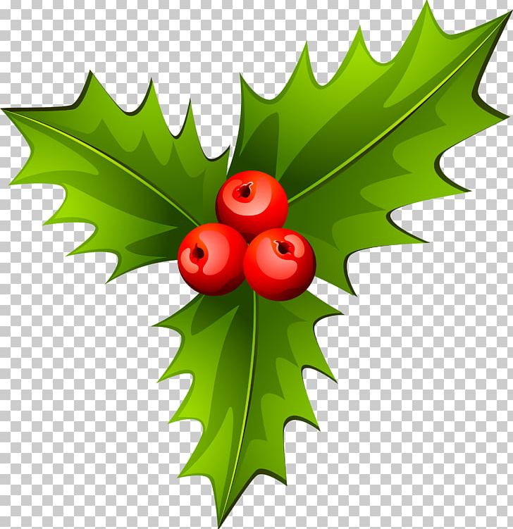 Holly Christmas Tree Plant PNG, Clipart, Aquifoliaceae, Aquifoliales, Baidu Wangpan, Christmas, Christmas Ornament Free PNG Download
