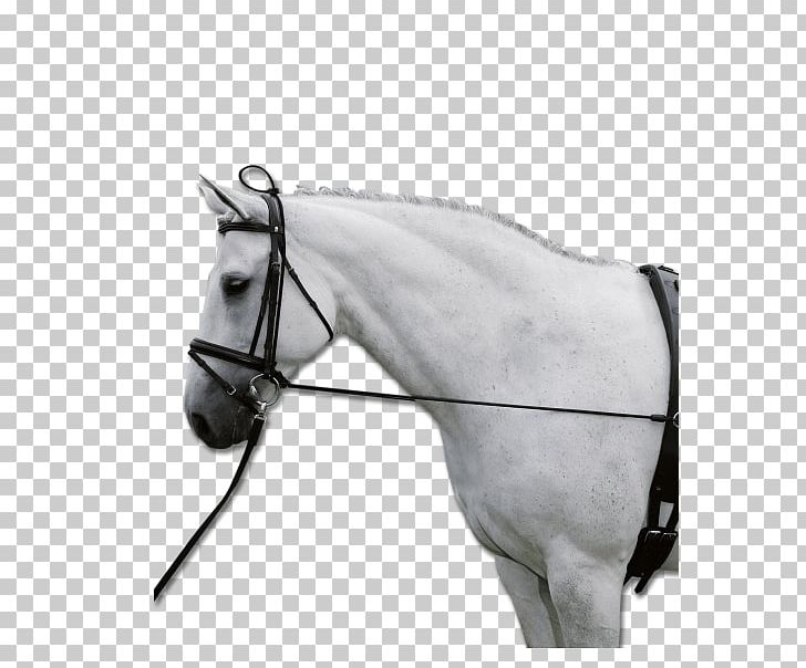 Horse Tack Chambon Rein Longeing PNG, Clipart, Black And White, Bridle, Chambon, Equestrian, Gogue Free PNG Download